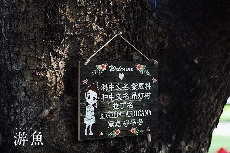 小蓝球向上跳