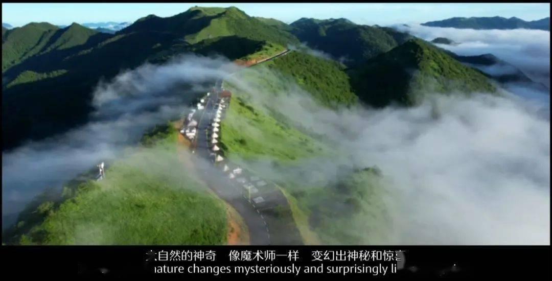 华胥引绝爱之城的资源